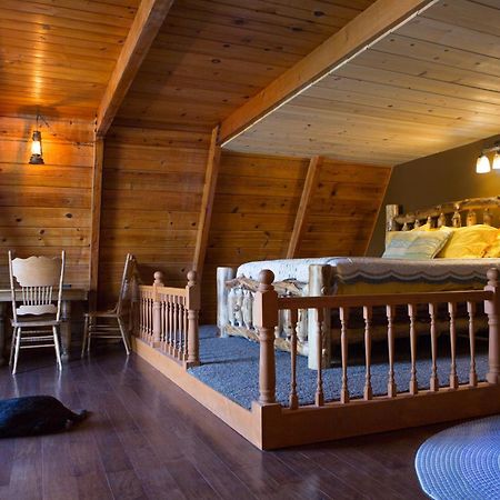 אידילווילד Hicksville Pines Chalets & Motel מראה חיצוני תמונה